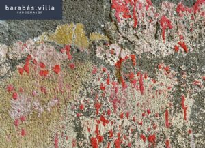 Károlyi Katalin fotókiállítása