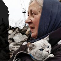 Five countries in Search of peace