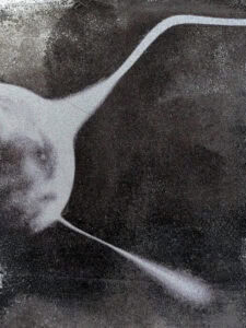 Deák Dorottya és Tóth-Heyn Áron // Két nap Budapest / In Presence megnyitó